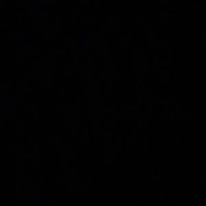 Meet your Posher, Mia